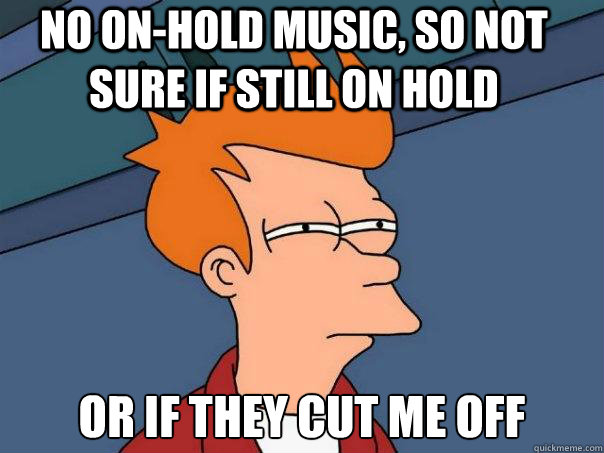 No on-hold music, So not sure if still on hold or if they cut me off  Futurama Fry