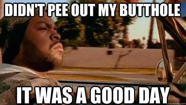 DIDN'T PEE OUT MY BUTTHOLE IT WAS A GOOD DAY  It was a good day