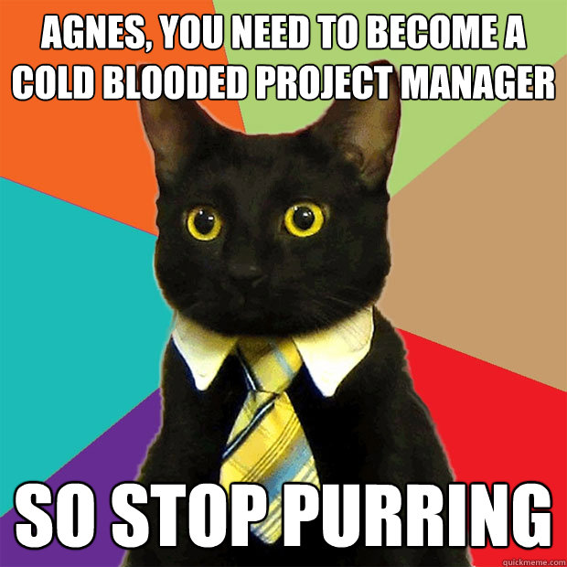 Agnes, you need to become a cold blooded project manager SO STOP PURRING  Business Cat
