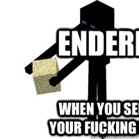 Endermen When You see it, your fucking dead  Minecraft Enderman