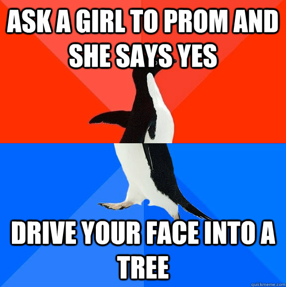 Ask a girl to prom and she says yes Drive your face into a tree  Socially Awesome Awkward Penguin
