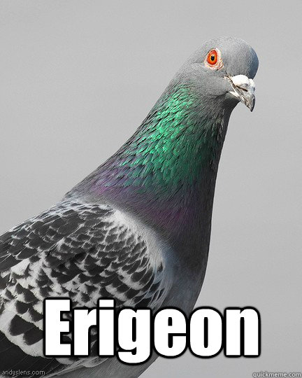 Erigeon   