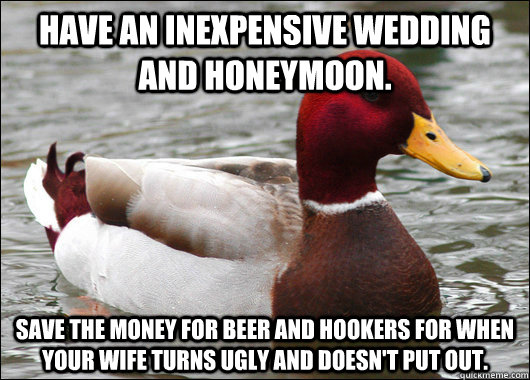 Have an inexpensive wedding and honeymoon. Save the money for beer and hookers for when your wife turns ugly and doesn't put out.  Malicious Advice Mallard
