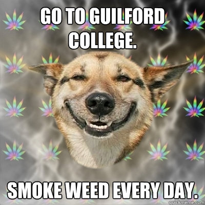 Go to Guilford College. Smoke weed every day.  Stoner Dog