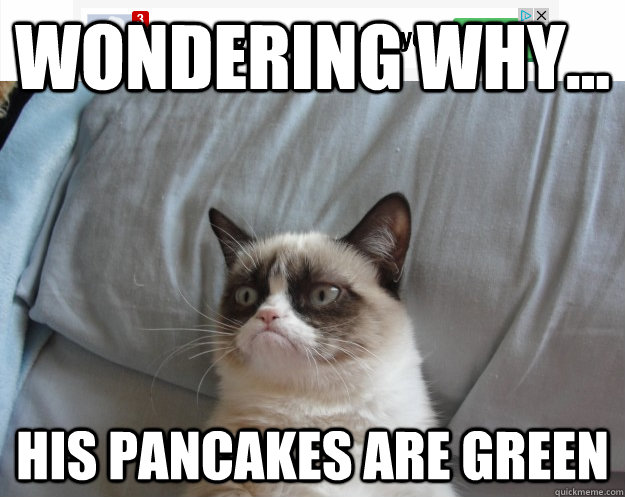 Wondering why... His pancakes are green - Wondering why... His pancakes are green  Grumpy Cat on Being Unfriended
