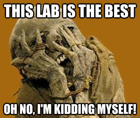 this lab is the best oh no, i'm kidding myself! - this lab is the best oh no, i'm kidding myself!  Shy Mummy