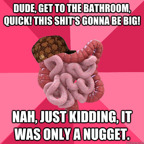 dude, get to the bathroom, quick! this shit's gonna be big! nah, just kidding, it was only a nugget. - dude, get to the bathroom, quick! this shit's gonna be big! nah, just kidding, it was only a nugget.  Scumbag Intestines