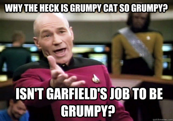 Why the heck is grumpy cat so grumpy?  Isn't Garfield's job to be grumpy?  Patrick Stewart WTF