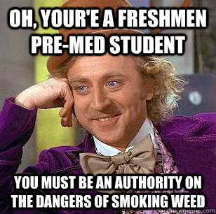 Oh, Your'e a freshmen pre-med student You must be an authority on the dangers of smoking weed  - Oh, Your'e a freshmen pre-med student You must be an authority on the dangers of smoking weed   Condescending Wonka
