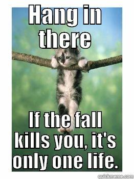 HANG IN THERE IF THE FALL KILLS YOU, IT'S ONLY ONE LIFE. Misc