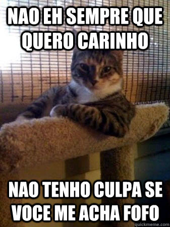Nao eh sempre que quero carinho nao tenho culpa se voce me acha fofo  The Most Interesting Cat in the World
