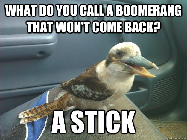 What do you call a boomerang that won't come back? A STICK - What do you call a boomerang that won't come back? A STICK  bad joke kookaburra