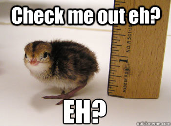 Check me out eh? EH?  