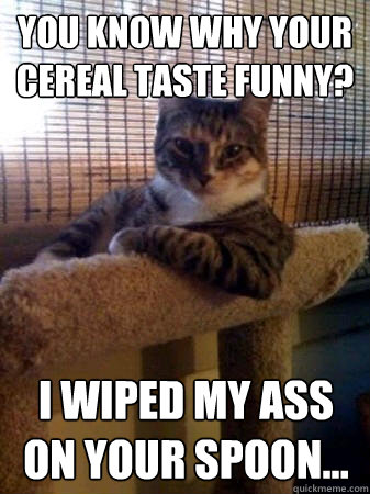 You know why your cereal taste funny? I wiped my ass on your spoon...  The Most Interesting Cat in the World