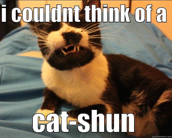 I COULDNT THINK OF A  CAT-SHUN Misc