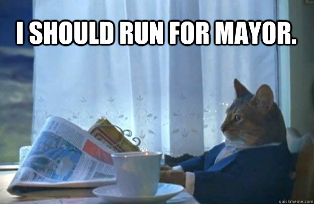 I should run for mayor.  Sophisticated Cat