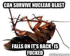 Can survive nuclear blast Falls on it's back , Is fucked   Dead Cockroach