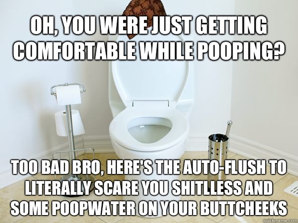 Oh, you were just getting comfortable while pooping? Too bad bro, here's the auto-flush to literally scare you shitlless and some poopwater on your buttcheeks  