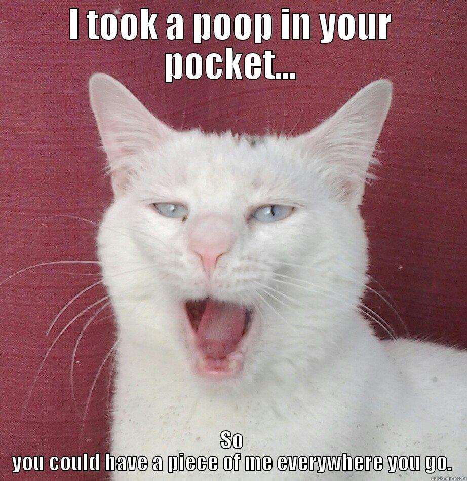I TOOK A POOP IN YOUR POCKET... SO YOU COULD HAVE A PIECE OF ME EVERYWHERE YOU GO. Misc