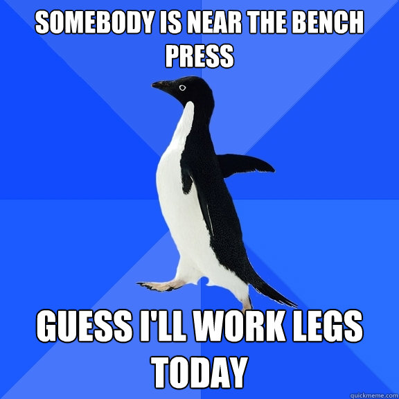 Somebody is near the Bench press Guess I'll work legs today   Socially Awkward Penguin