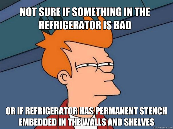 Not sure if something in the refrigerator is bad Or if refrigerator has permanent stench embedded in the walls and shelves  Futurama Fry