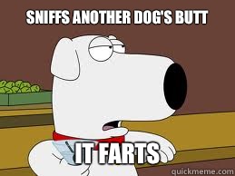 Sniffs another dog's butt It farts  