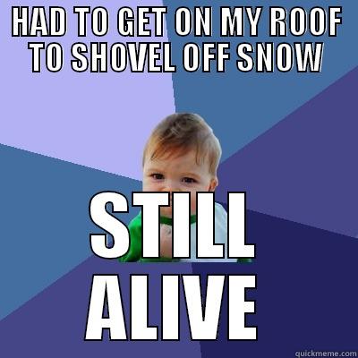 HAD TO GET ON MY ROOF TO SHOVEL OFF SNOW STILL ALIVE Success Kid