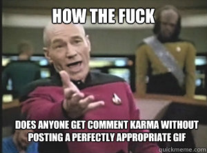 How the fuck does anyone get comment karma without posting a perfectly appropriate gif  Annoyed Picard