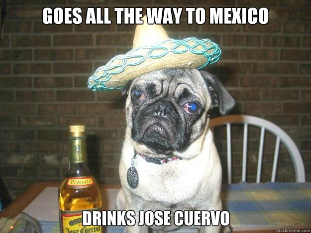 goes all the way to mexico drinks jose cuervo - goes all the way to mexico drinks jose cuervo  Vacation dog