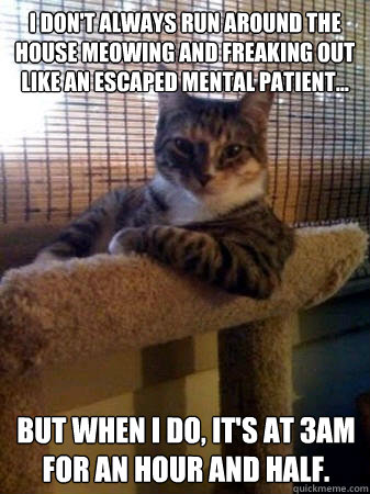 I don't always run around the house meowing and freaking out like an escaped mental patient... but when I do, it's at 3am for an hour and half.  The Most Interesting Cat in the World