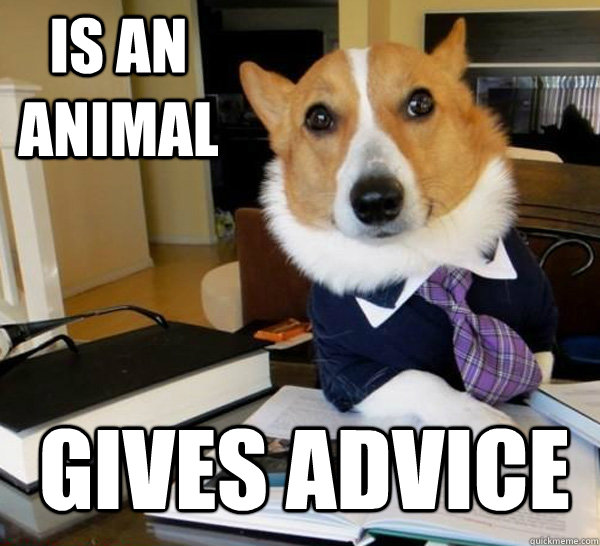 is an animal Gives advice  Lawyer Dog