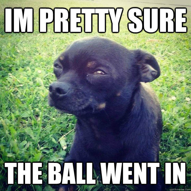 IM PRETTY SURE THE BALL WENT IN  - IM PRETTY SURE THE BALL WENT IN   Skeptical Dog