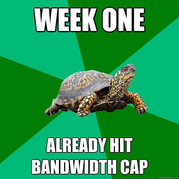 Week one Already hit bandwidth cap  Torrenting Turtle