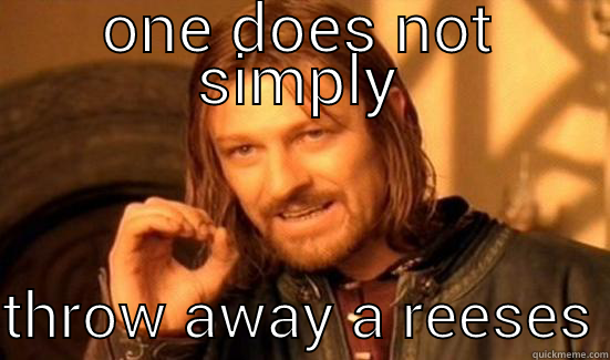 ONE DOES NOT SIMPLY THROW AWAY A REESES Boromir