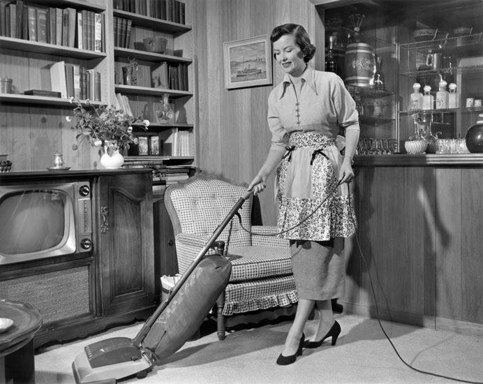 50's Housewife -   Misc