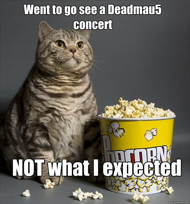 Went to go see a Deadmau5 concert NOT what I expected  Critic Cat