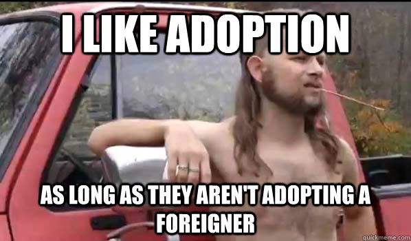 i like adoption as long as they aren't adopting a foreigner  Almost Politically Correct Redneck