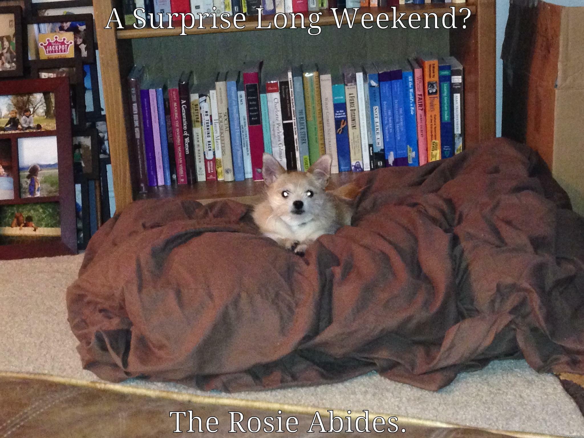 A SURPRISE LONG WEEKEND? THE ROSIE ABIDES. Misc