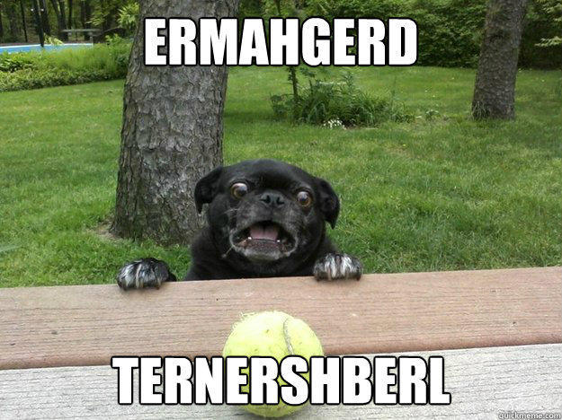 Ermahgerd Ternershberl  