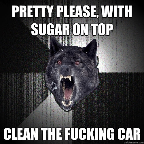 pretty please, with sugar on top clean the fucking car  Insanity Wolf