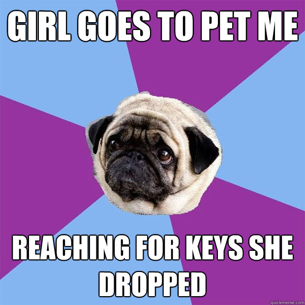 Girl goes to pet me reaching for keys she dropped  Lonely Pug