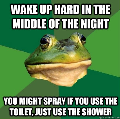 Wake up hard in the middle of the night You might spray if you use the toilet, just use the shower  Foul Bachelor Frog