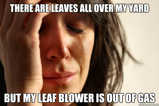 There are leaves all over my yard but my leaf blower is out of gas  First World Problems