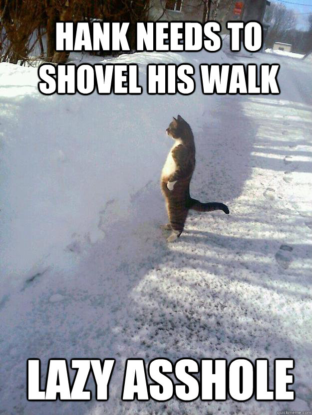 hank needs to shovel his walk lazy asshole  CatSnowbank