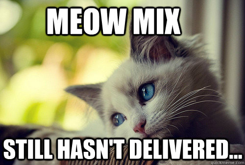 Meow mix Still hasn't delivered... - Meow mix Still hasn't delivered...  First World Cat Problems