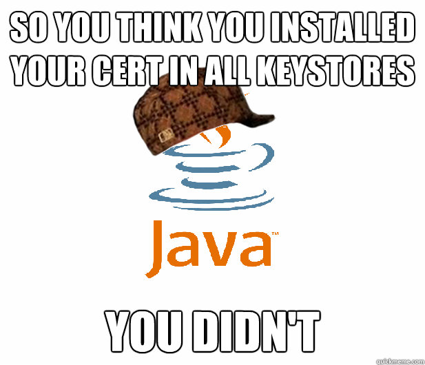 so you think you installed your cert in all keystores you didn't  Scumbag Java