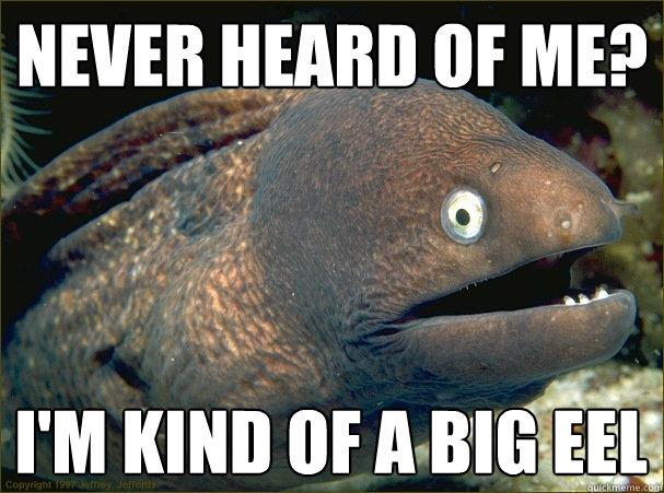 Never heard of me? I'm kind of a big eel  Bad Joke Eel