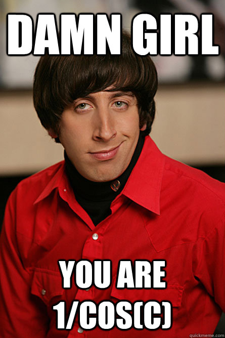 Damn girl you are 1/cos(C)  Pickup Line Scientist