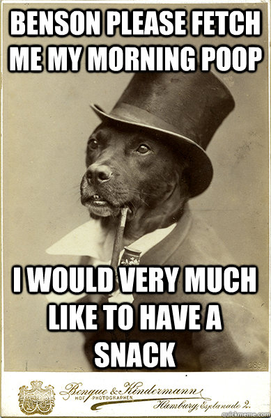 benson please fetch me my morning poop i would very much like to have a snack  Old Money Dog