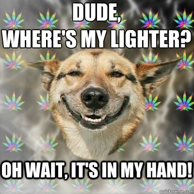 Dude, 
where's my lighter? Oh wait, it's in my hand! - Dude, 
where's my lighter? Oh wait, it's in my hand!  Stoner Dog